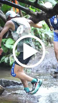 BIB:  <button type="button" onclick="openModal(27808839)" class="btn btn-primary btn-sm float-right" data-toggle="modal" data-target=".modal-high-quality">
                <i class="fa fa-download"></i> Download
                </button>